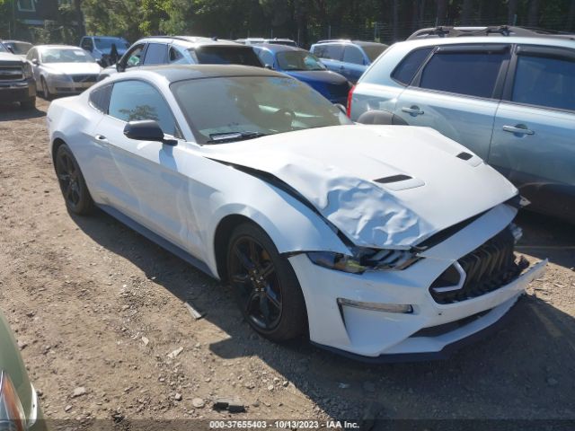 FORD MUSTANG 2019 1fa6p8th1k5201293