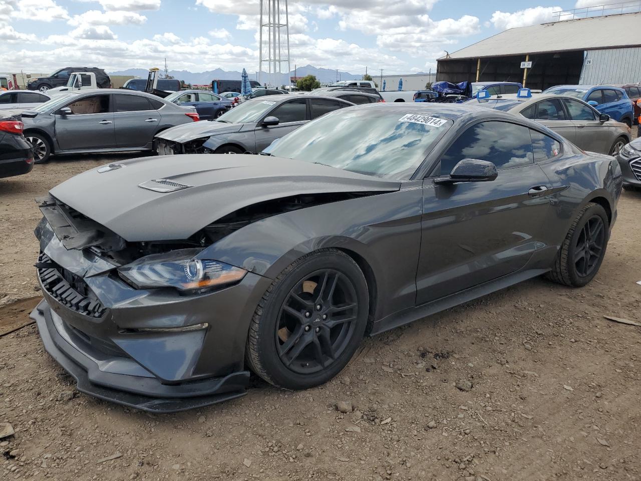 FORD MUSTANG 2020 1fa6p8th1l5112275