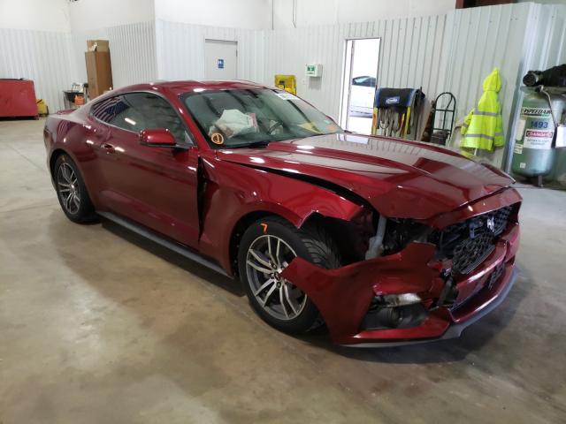 FORD MUSTANG 2015 1fa6p8th2f5342475