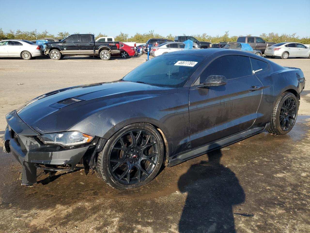 FORD MUSTANG 2018 1fa6p8th2j5147081