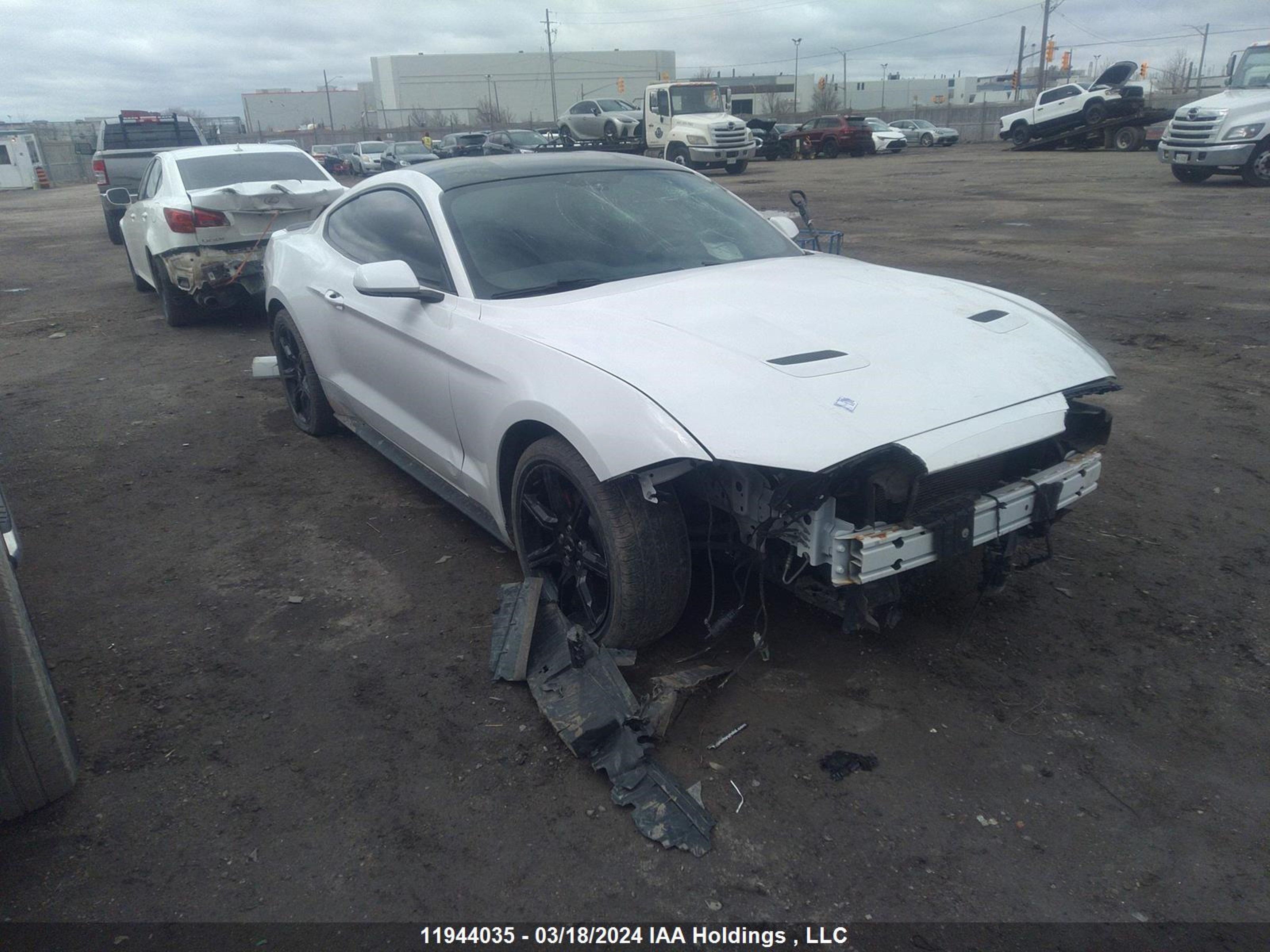 FORD MUSTANG 2018 1fa6p8th2j5150756