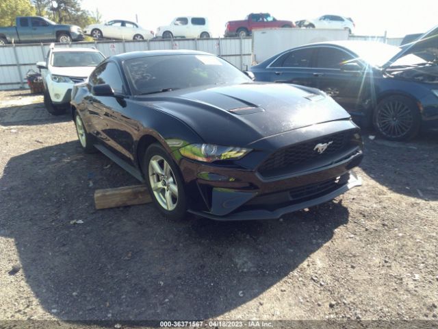 FORD MUSTANG 2019 1fa6p8th2k5129701