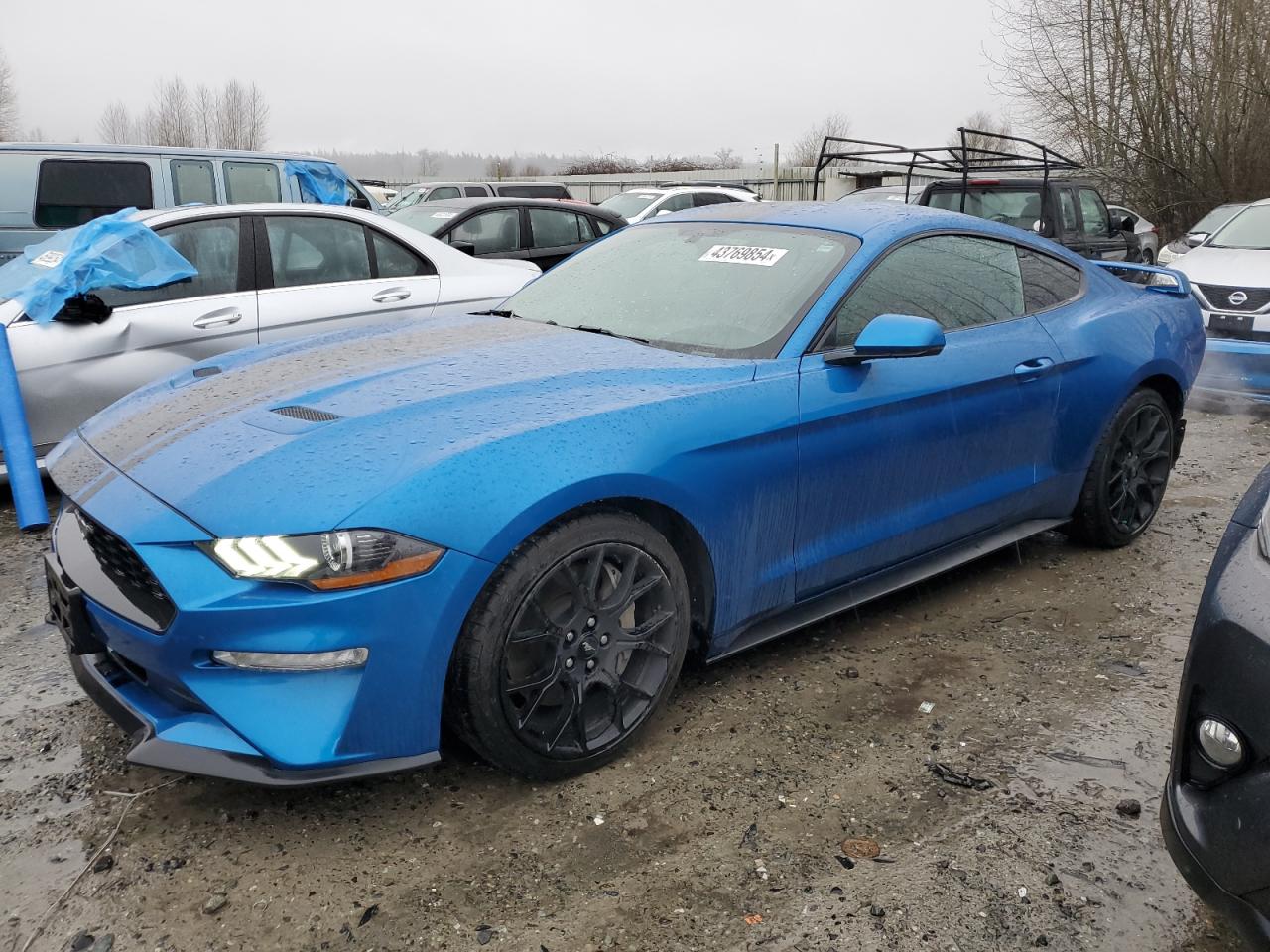 FORD MUSTANG 2019 1fa6p8th2k5154582