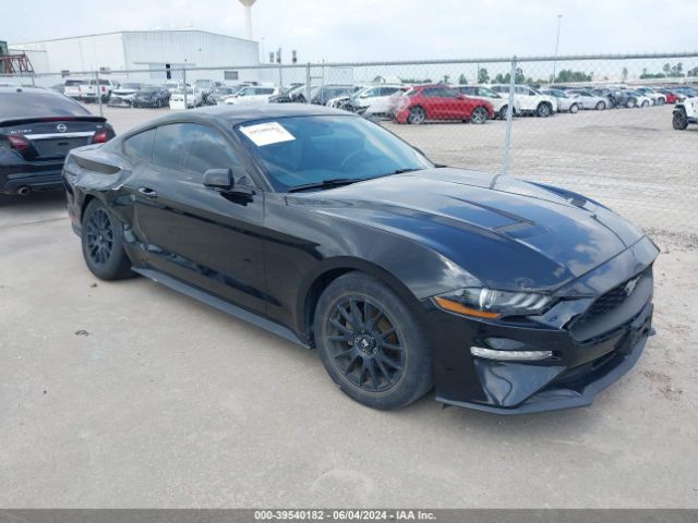 FORD MUSTANG 2019 1fa6p8th2k5178249