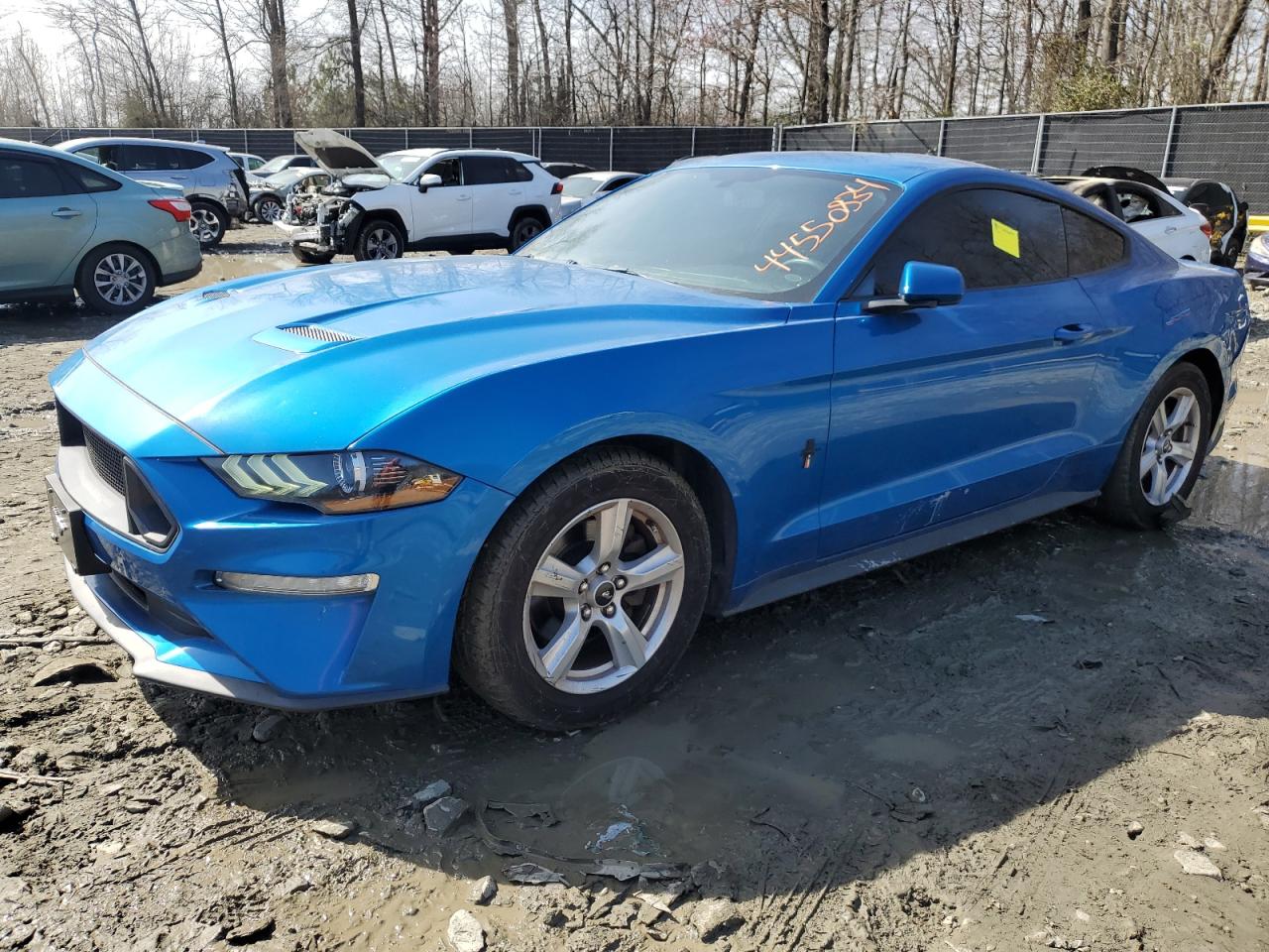 FORD MUSTANG 2019 1fa6p8th2k5180762