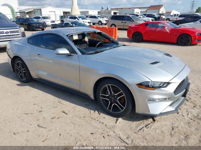 FORD MUSTANG 2019 1fa6p8th2k5185413