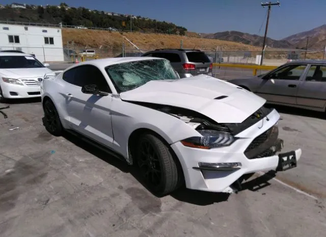 FORD MUSTANG 2019 1fa6p8th2k5188263