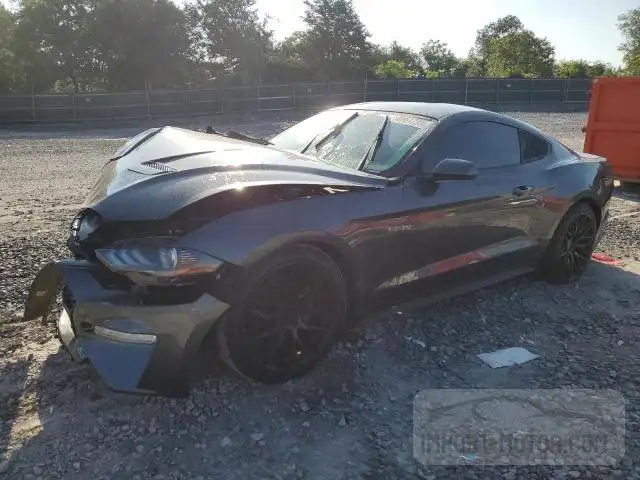 FORD MUSTANG 2019 1fa6p8th2k5192295