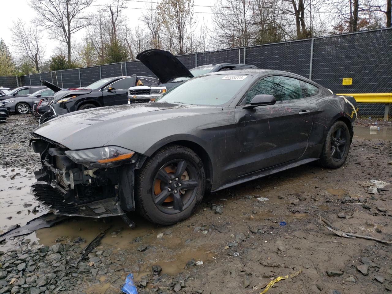 FORD MUSTANG 2019 1fa6p8th2k5203750