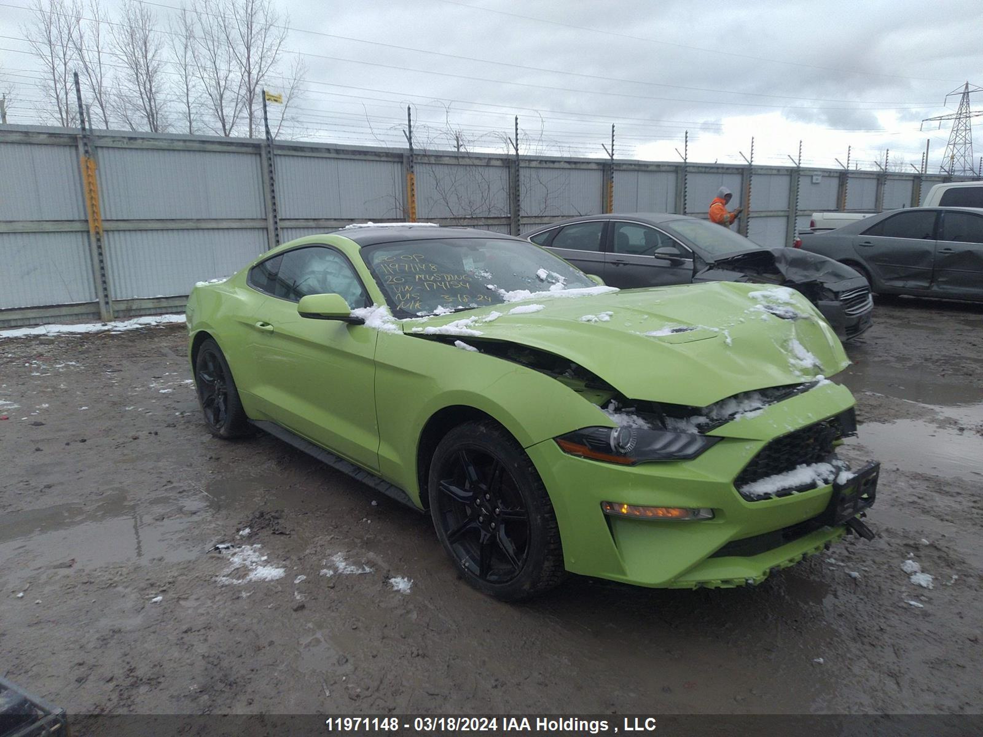 FORD MUSTANG 2020 1fa6p8th2l5174154