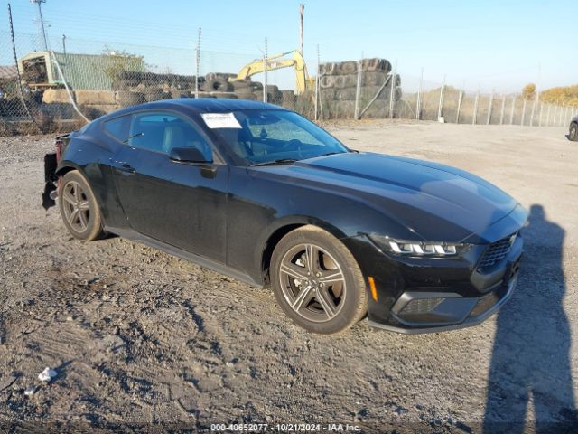 FORD MUSTANG 2024 1fa6p8th2r5106882