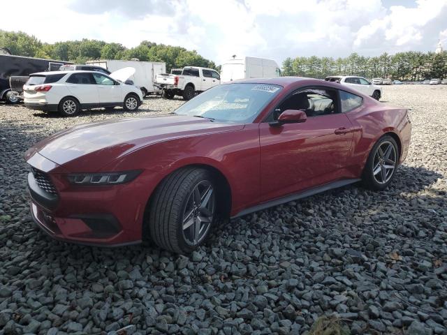 FORD MUSTANG 2024 1fa6p8th2r5109880