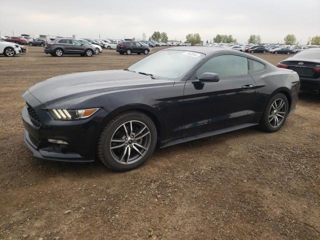 FORD MUSTANG 2016 1fa6p8th3g5305596