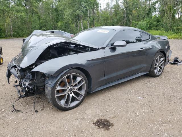 FORD MUSTANG 2019 1fa6p8th3k5111028