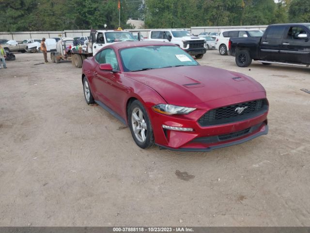 FORD MUSTANG 2019 1fa6p8th3k5114625