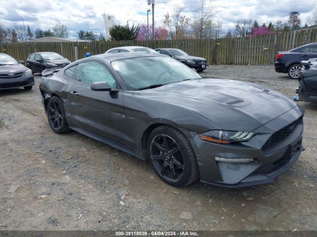 FORD MUSTANG 2019 1fa6p8th3k5116942