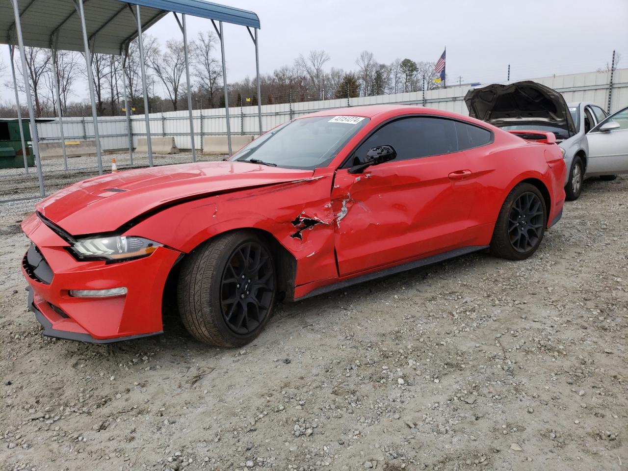 FORD MUSTANG 2019 1fa6p8th3k5152937