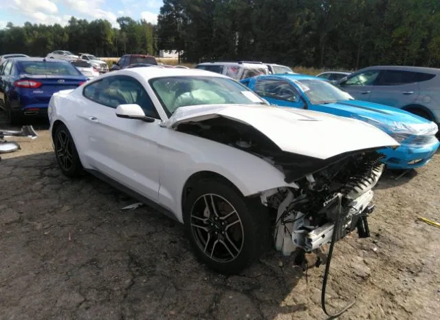 FORD MUSTANG 2019 1fa6p8th3k5162044