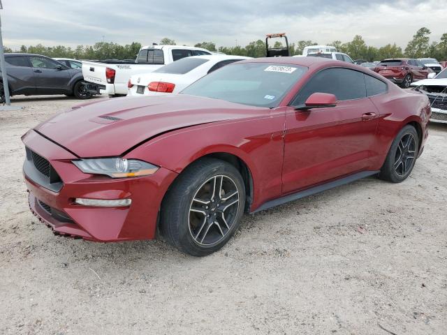 FORD MUSTANG 2019 1fa6p8th3k5204261