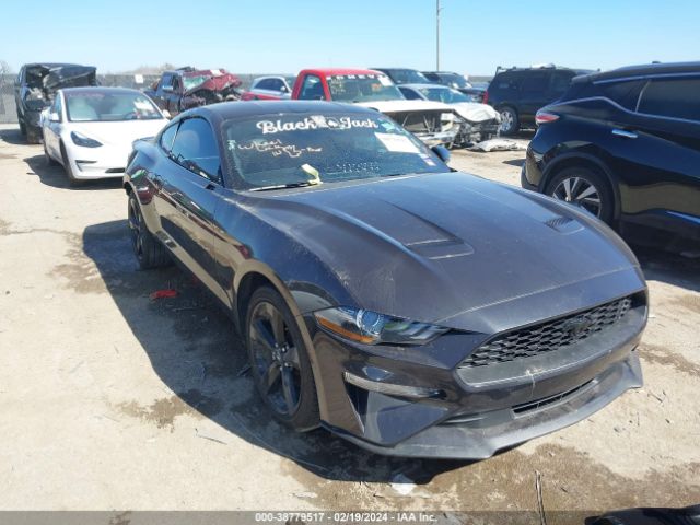 FORD MUSTANG 2023 1fa6p8th3p5100652