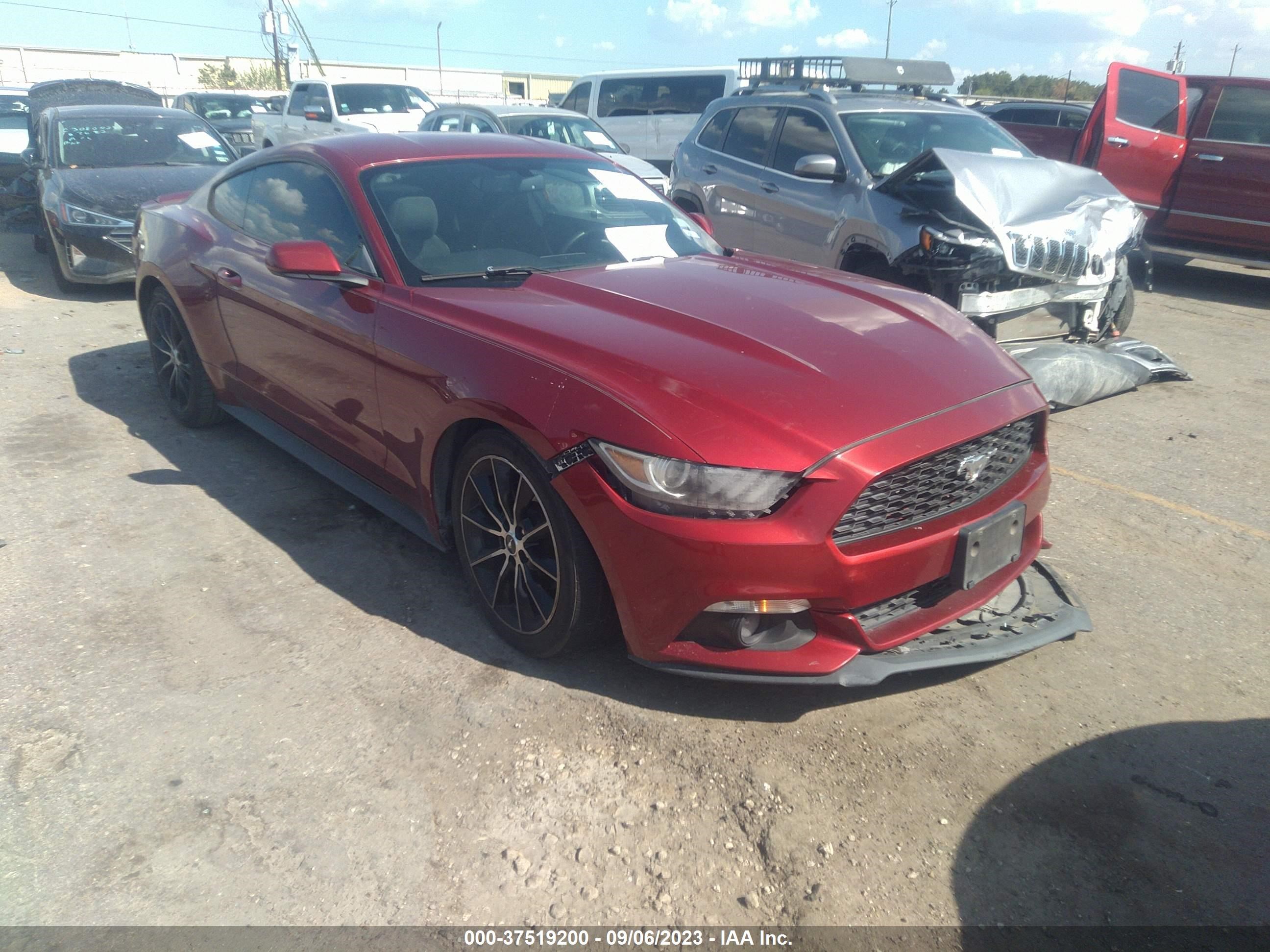 FORD MUSTANG 2015 1fa6p8th4f5338301