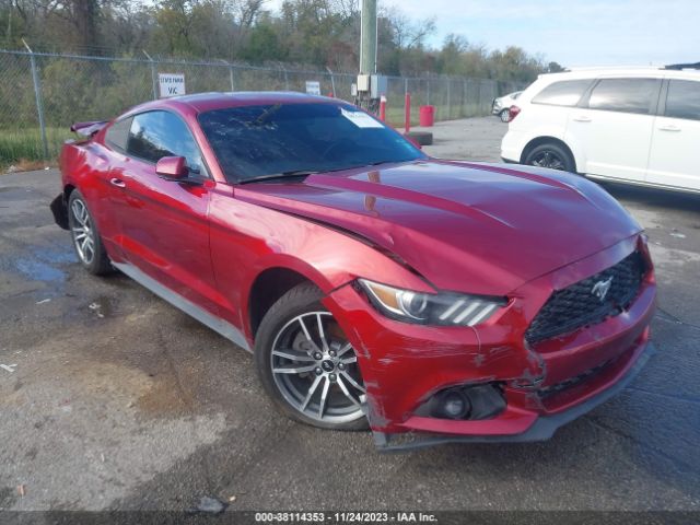 FORD MUSTANG 2016 1fa6p8th4g5210142