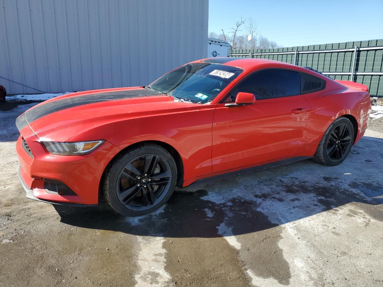 FORD MUSTANG 2017 1fa6p8th4h5217450