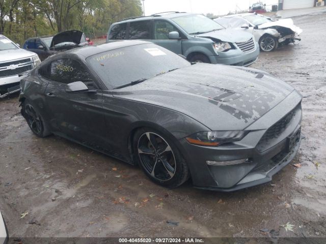 FORD MUSTANG 2019 1fa6p8th4k5111877