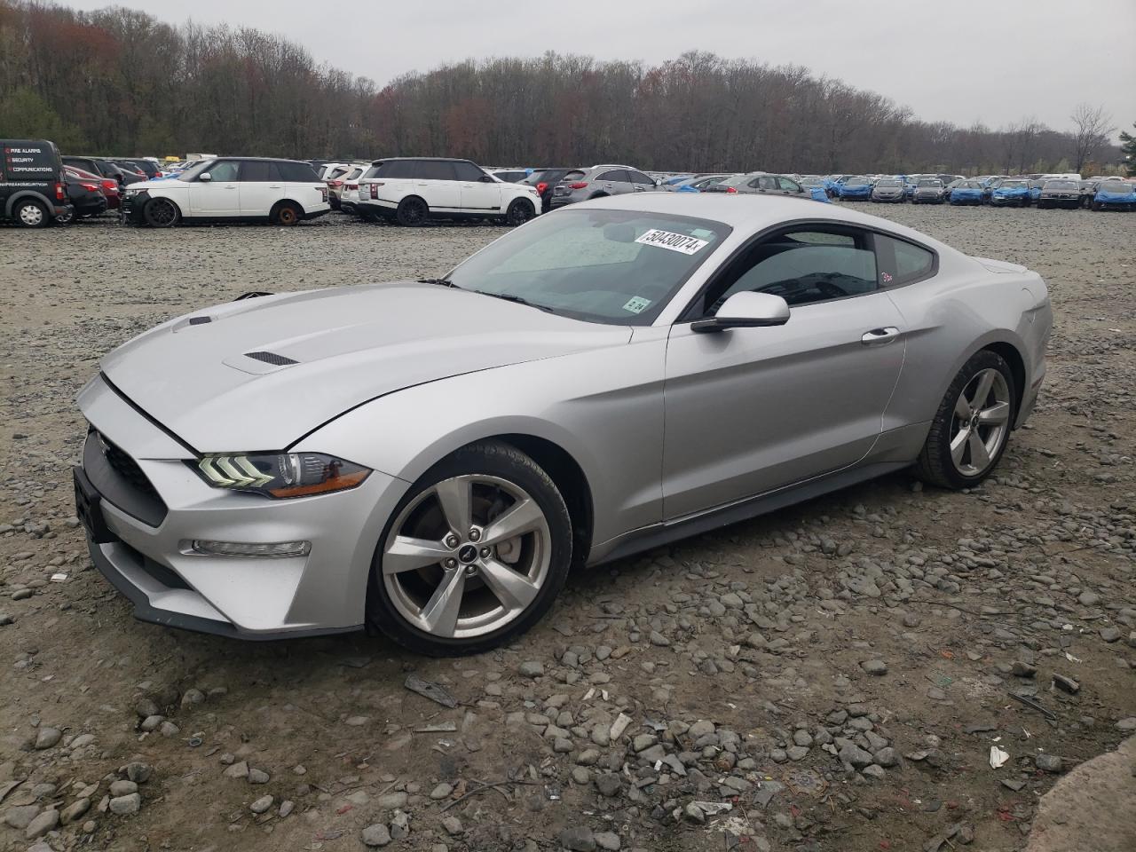 FORD MUSTANG 2019 1fa6p8th4k5124063