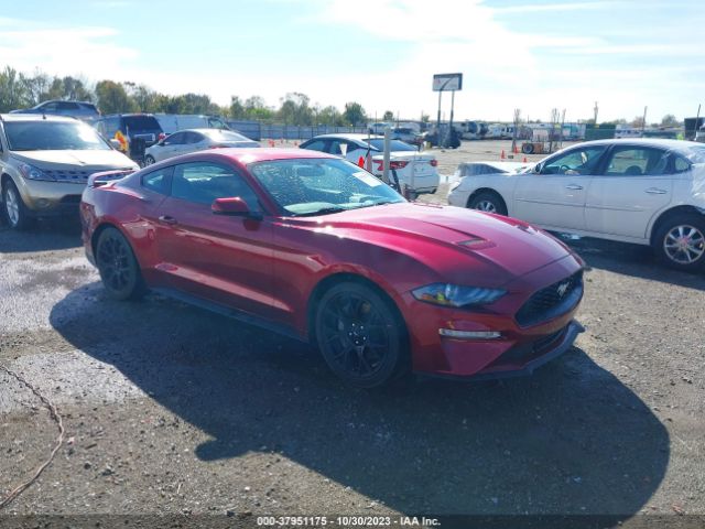 FORD MUSTANG 2019 1fa6p8th4k5129439