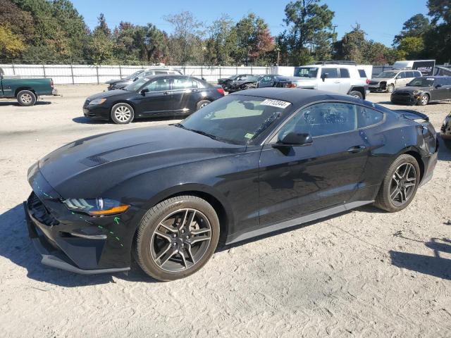 FORD MUSTANG 2019 1fa6p8th4k5152591