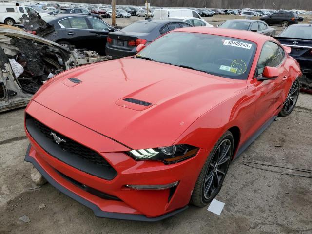 FORD MUSTANG 2019 1fa6p8th4k5165955