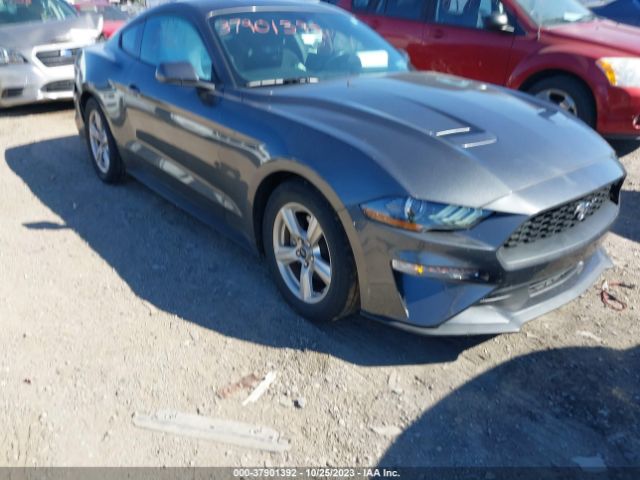 FORD MUSTANG 2019 1fa6p8th4k5166085