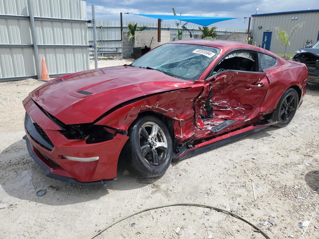 FORD MUSTANG 2019 1fa6p8th4k5184828