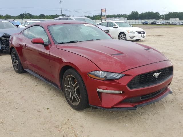 FORD MUSTANG 2019 1fa6p8th4k5204592