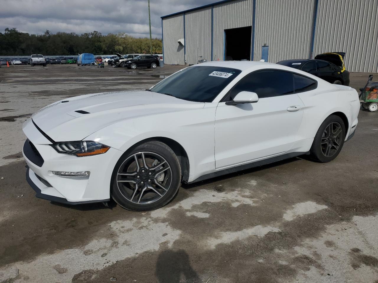 FORD MUSTANG 2020 1fa6p8th4l5173006