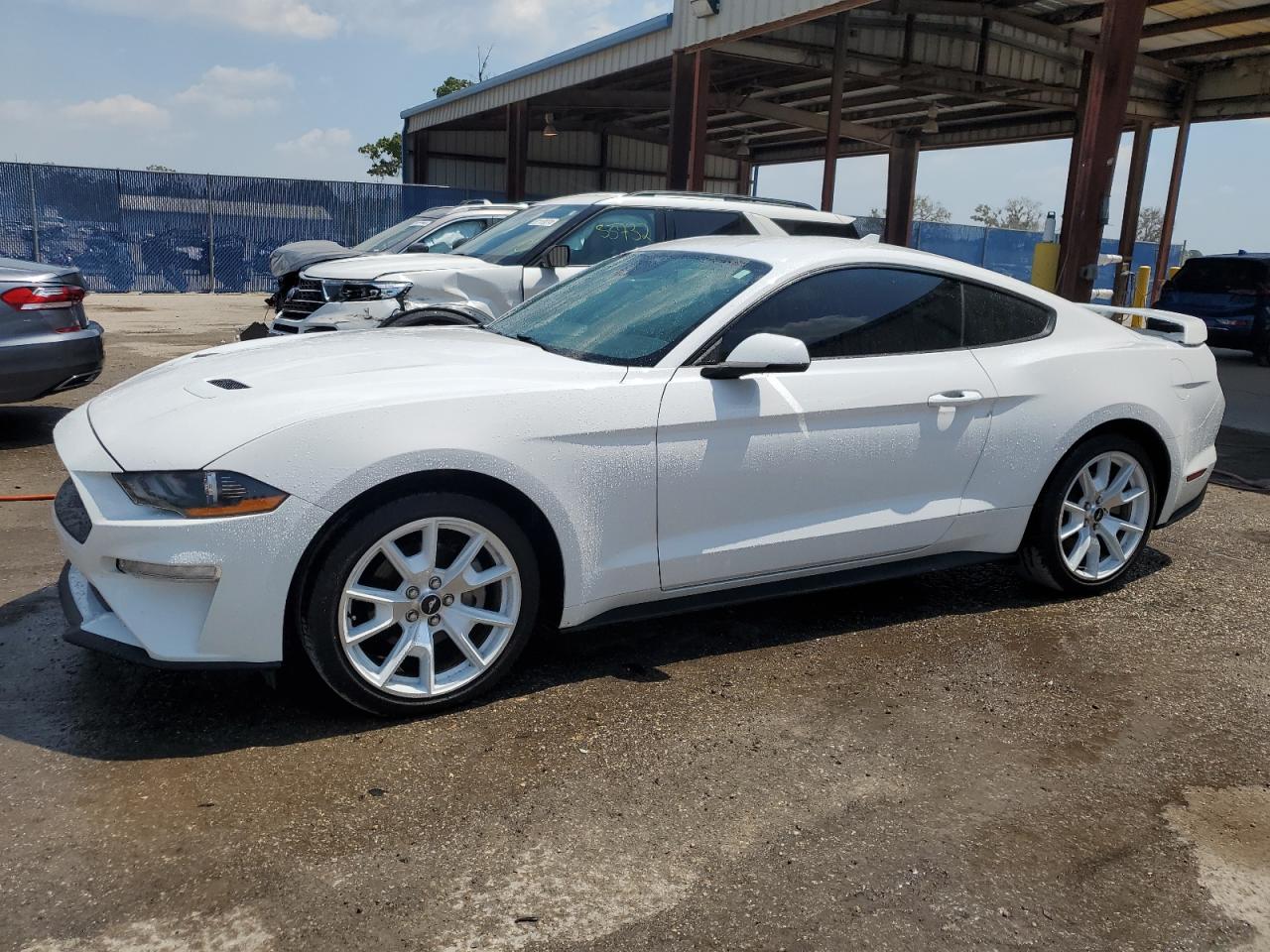 FORD MUSTANG 2022 1fa6p8th4n5129655