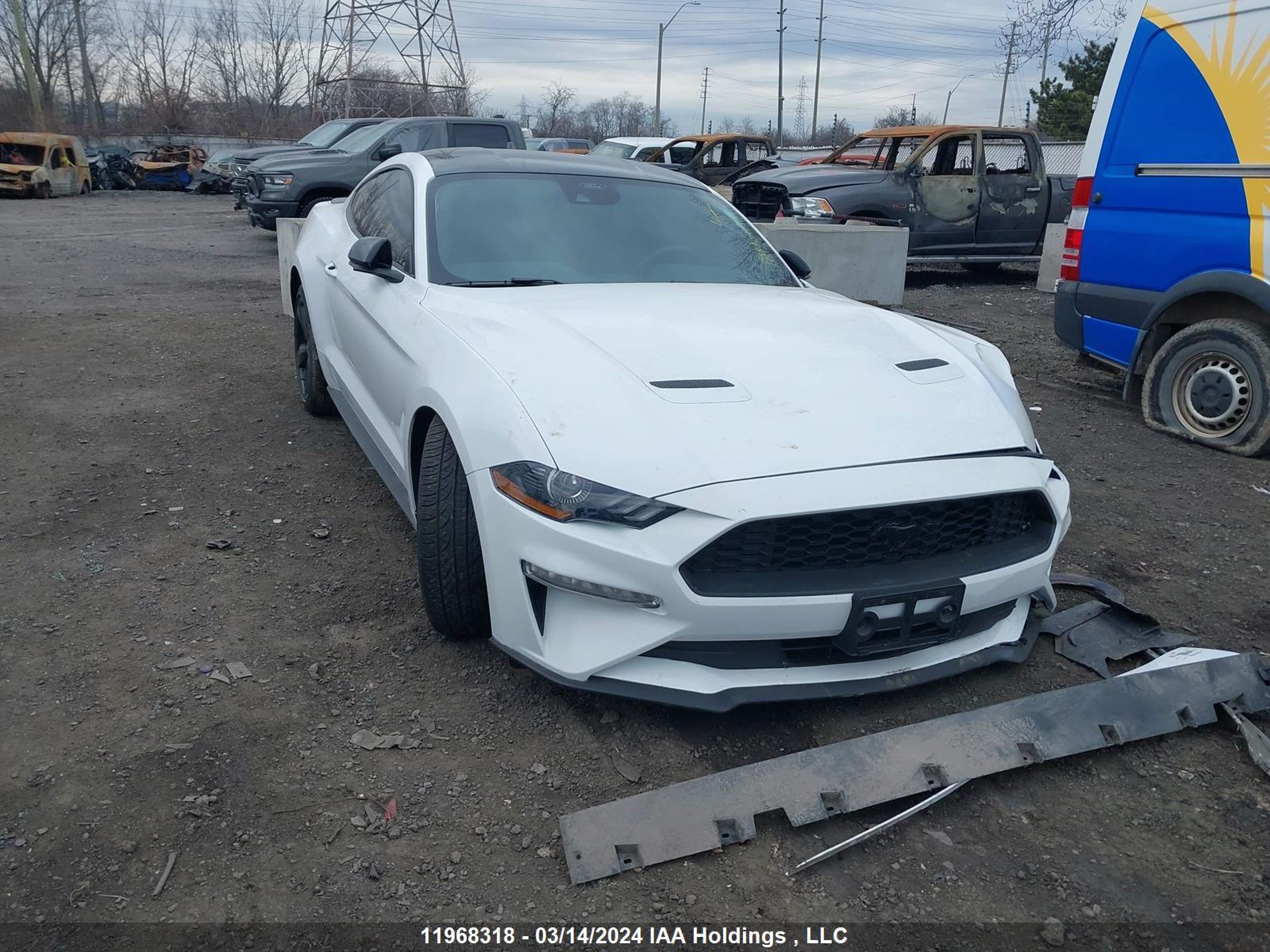 FORD MUSTANG 2023 1fa6p8th4p5113183