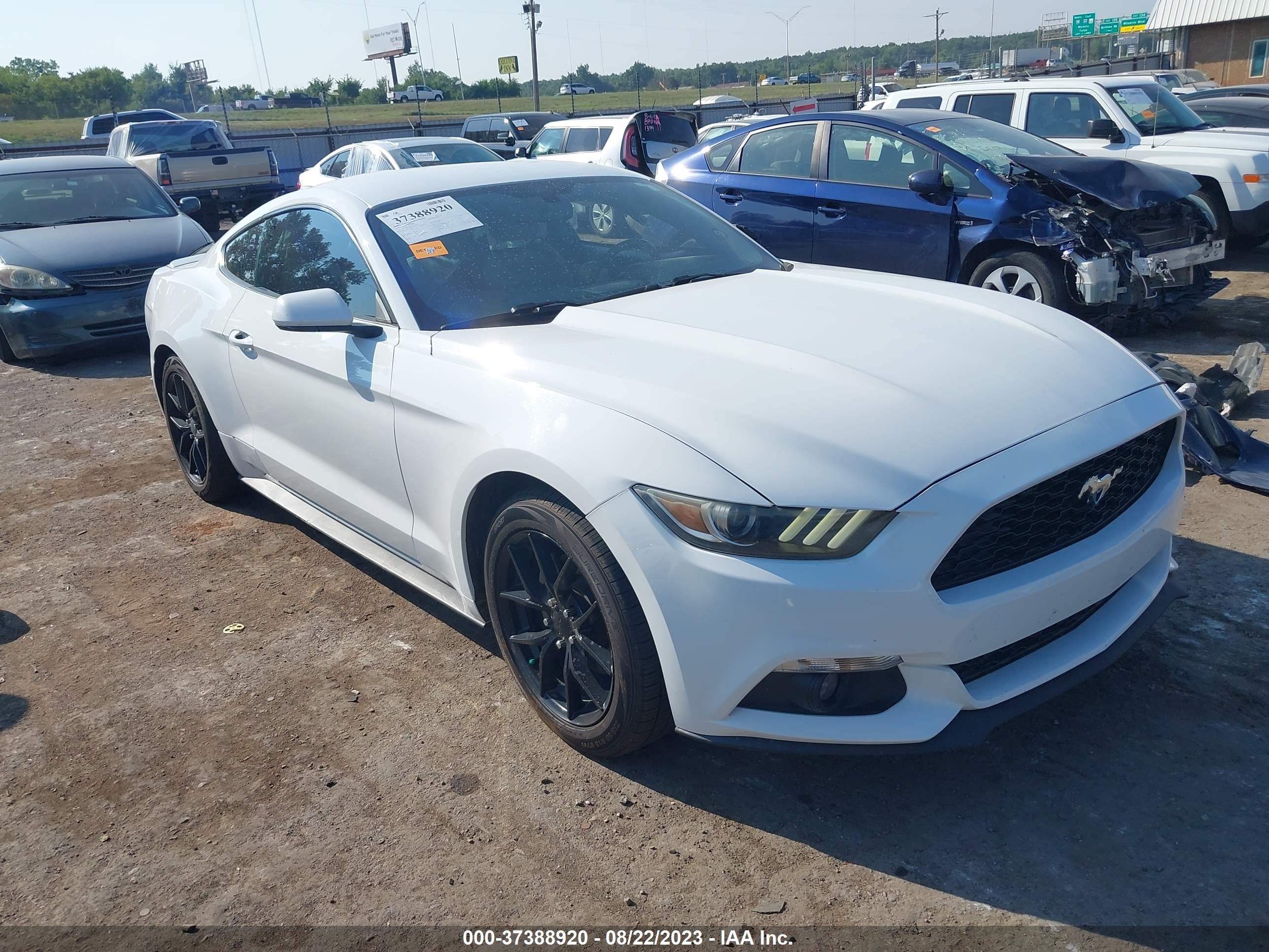 FORD MUSTANG 2016 1fa6p8th5g5253078