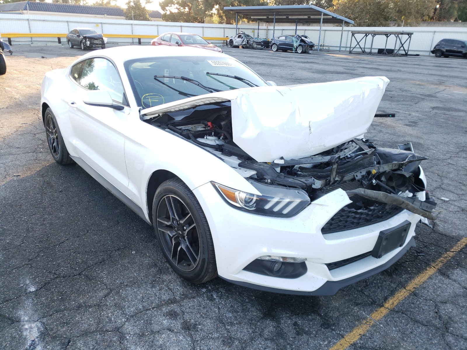 FORD MUSTANG 2017 1fa6p8th5h5213956