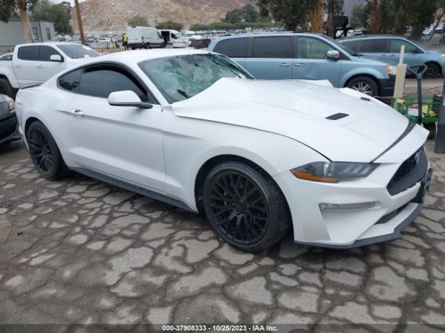 FORD MUSTANG 2019 1fa6p8th5k5123360