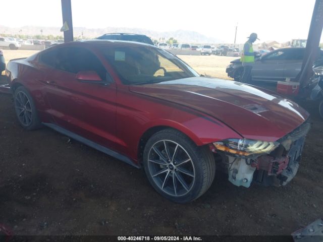 FORD MUSTANG 2019 1fa6p8th5k5123472