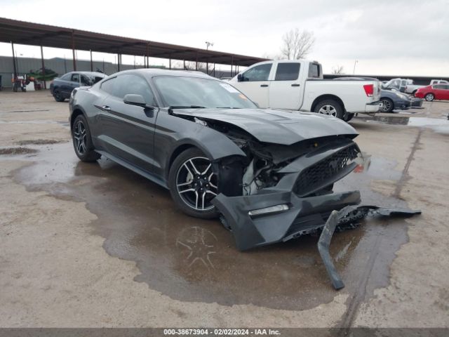 FORD MUSTANG 2019 1fa6p8th5k5130809