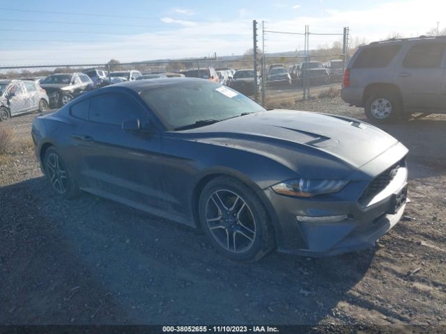 FORD MUSTANG 2019 1fa6p8th5k5134004