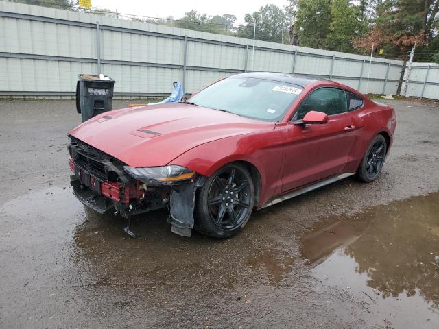 FORD MUSTANG 2019 1fa6p8th5k5134407