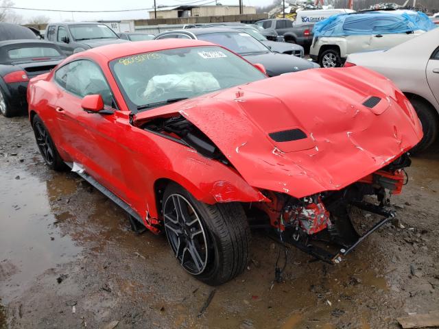 FORD MUSTANG 2019 1fa6p8th5k5172574