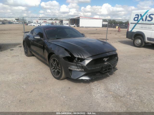 FORD MUSTANG 2019 1fa6p8th5k5174244