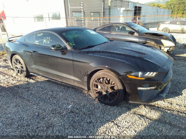 FORD MUSTANG 2019 1fa6p8th5k5180500