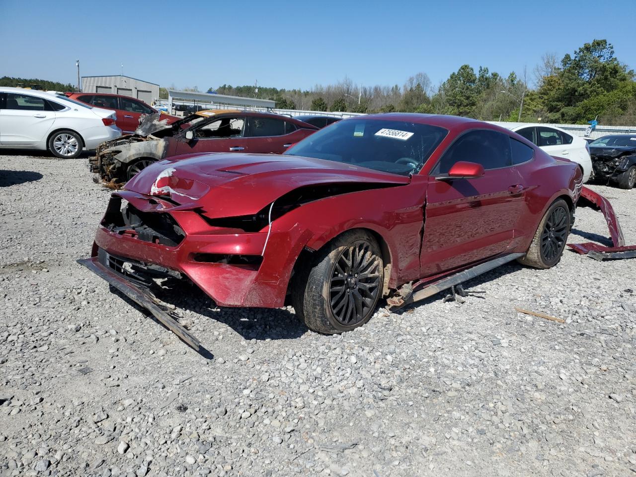 FORD MUSTANG 2019 1fa6p8th5k5180612