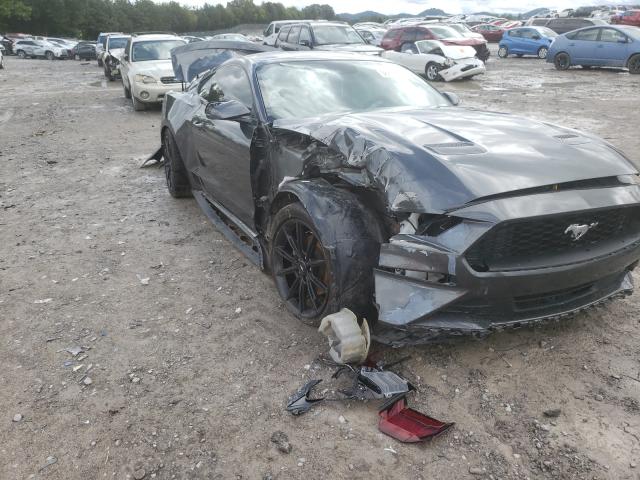 FORD MUSTANG 2019 1fa6p8th5k5186491